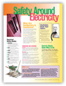 Safety Around Electricity